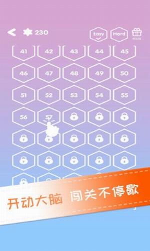 神奇六边形数独
