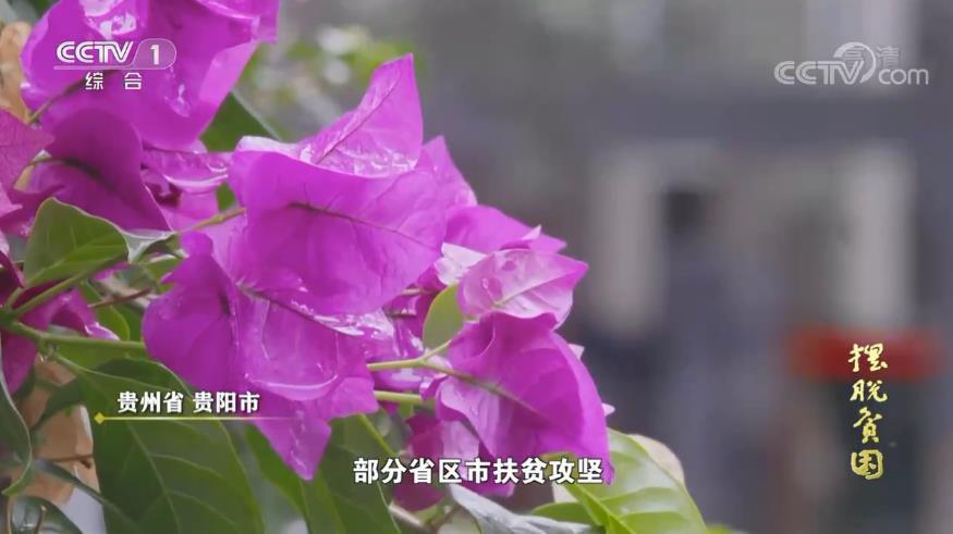 摆脱贫困记录片