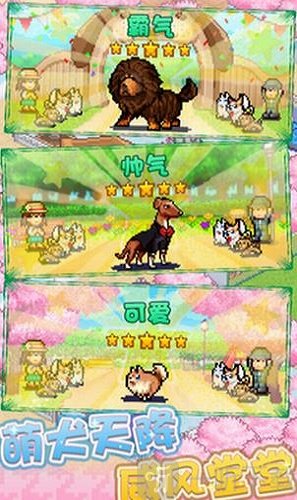 发现狗狗乐园