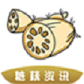 糖藕资讯