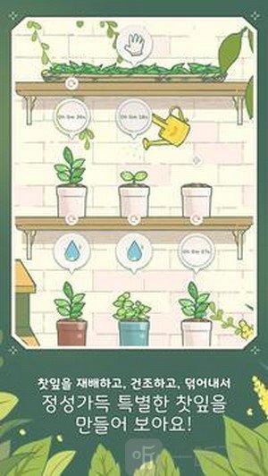 小角茶馆大亨