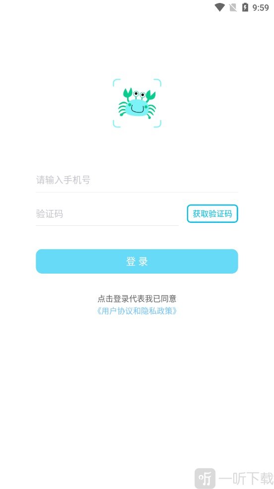 看鱼