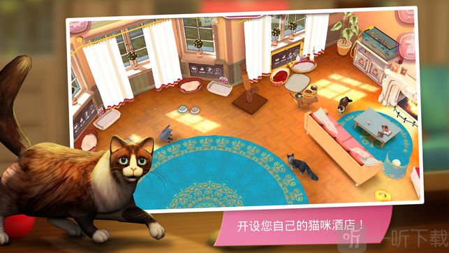 猫咪酒店