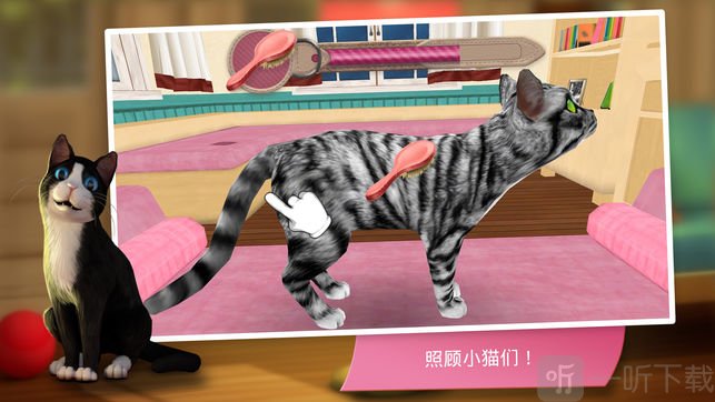 猫咪酒店