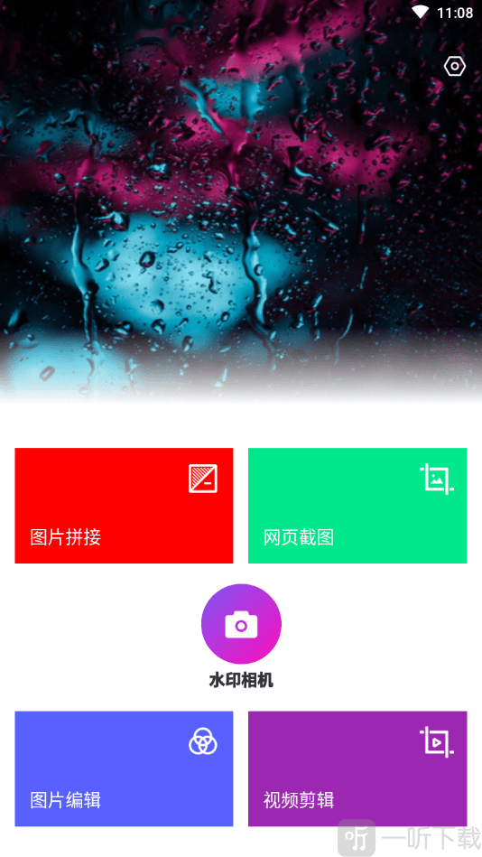 喵小姐