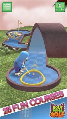 酸松高尔夫