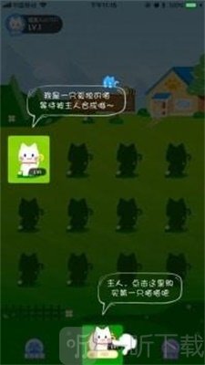 疯狂合猫猫