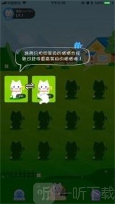 疯狂合猫猫