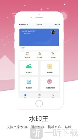 水印王