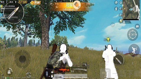白菜多功能辅助