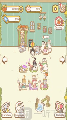 猫咪水疗中心