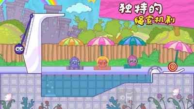毛蛋舔糖记