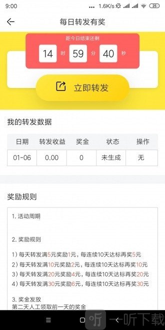 千日红