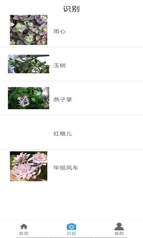 桃桃识植物