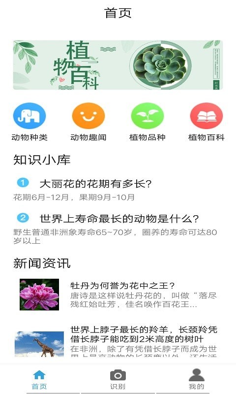 桃桃识植物