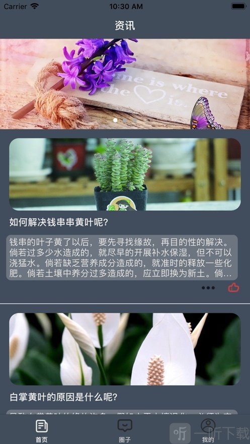 花蜜社