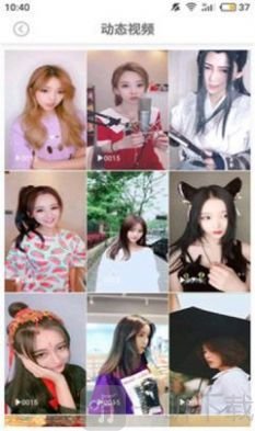 美姿图