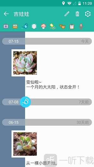 多肉成长记
