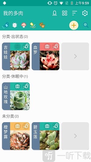 多肉成长记