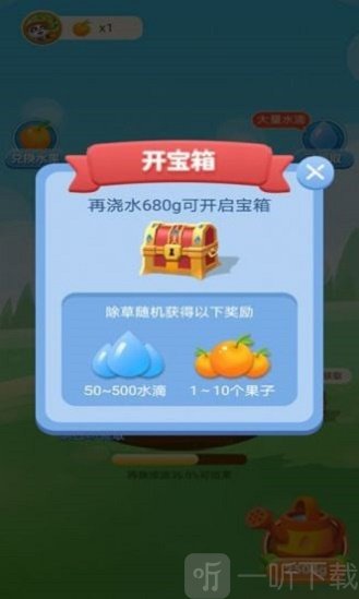宝宝来种树