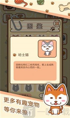 宠物对战