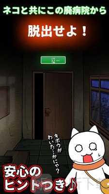 猫咪逃离老医院