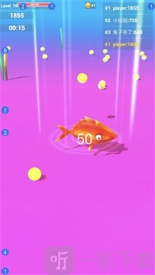 鱼你有关