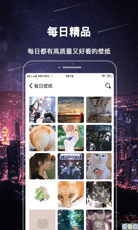 365主题壁纸精灵