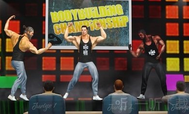 gym格斗