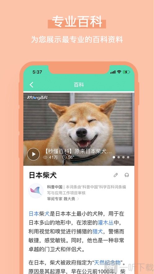识图百科识别