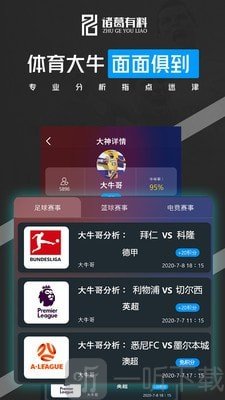 诸葛有料