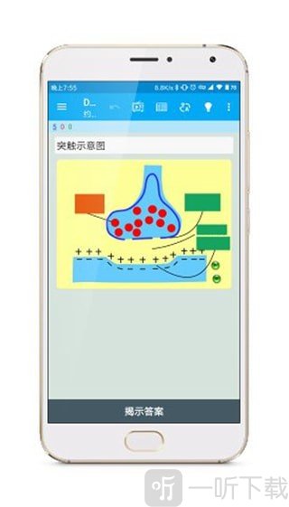 Anki涂鸦制卡