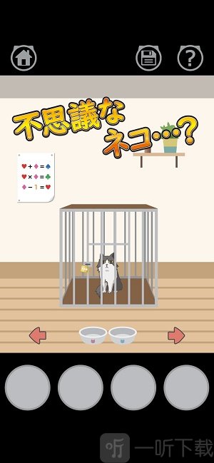 CAT不可思议的猫