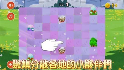 是你动物联合