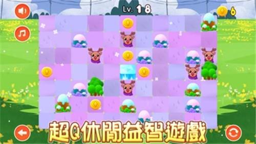 是你动物联合