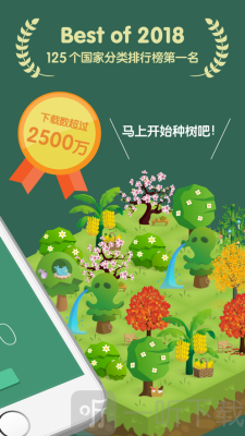 forest专注森林