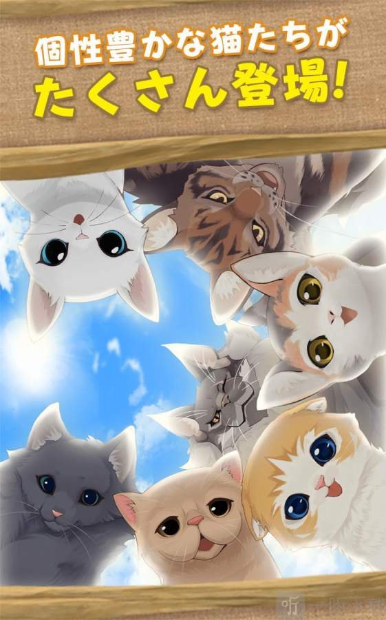 猫岛日记