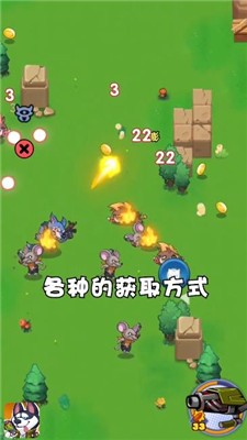 丛林小队