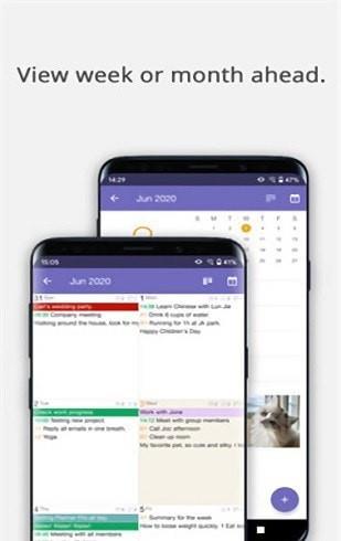 Planner Pro