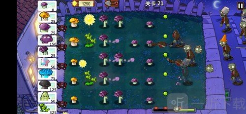 植物大作战
