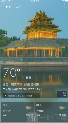青蛙天气