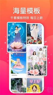 糖拍