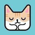 猫猫睡觉