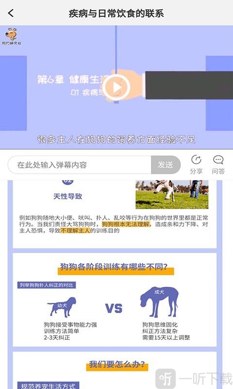宠物训养小课堂