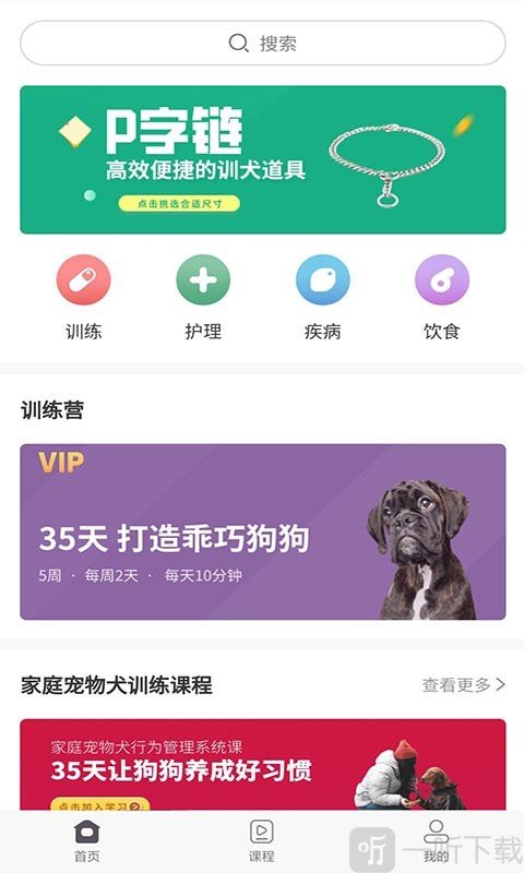 宠物训养小课堂