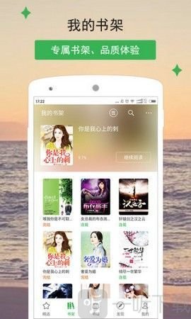 宝晋小说