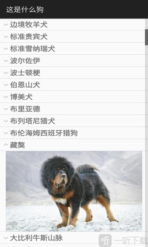 这是什么狗