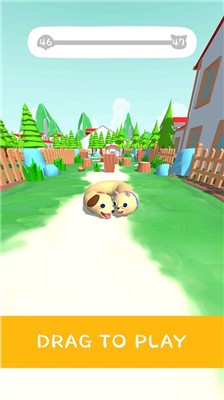 猫和狗3D