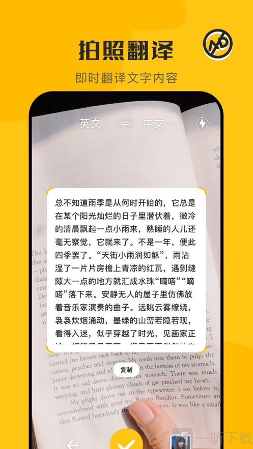 蜜蜂翻译