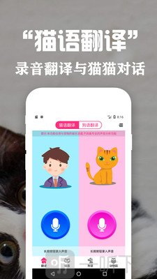 狗语翻译交流器